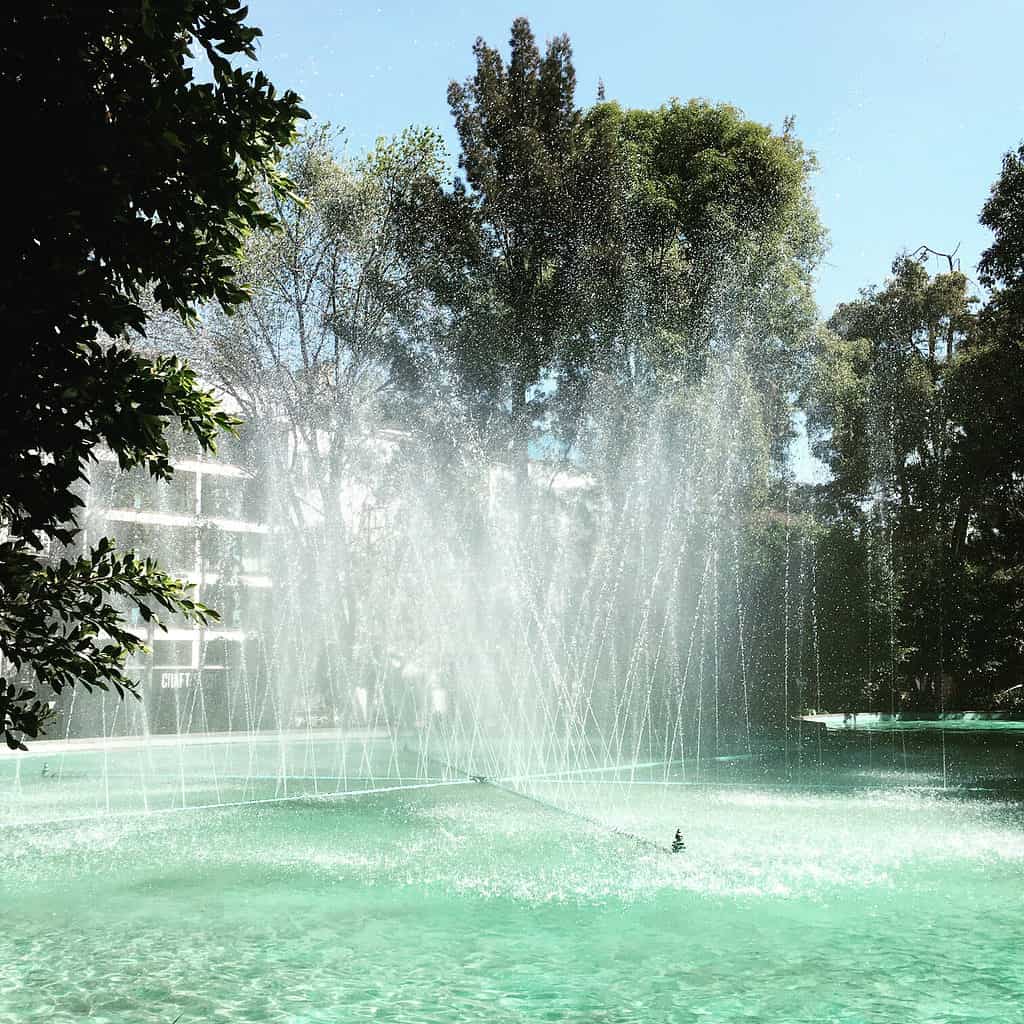 Fountain in Roma Norte