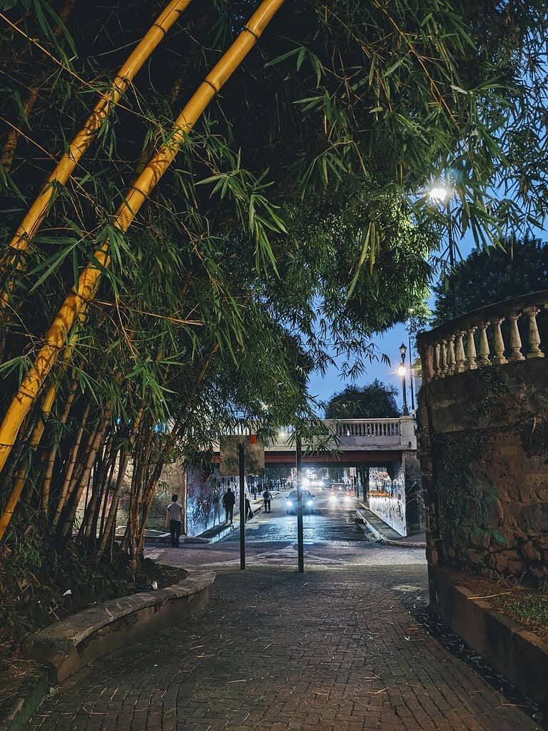 Nocturnal urban landscape San Jose costa rica